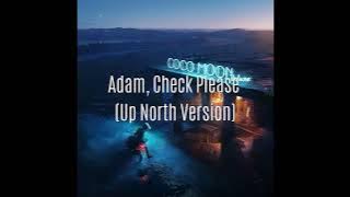 Owl City - Adam, Check Please (Up North Version) from Coco Moon Deluxe