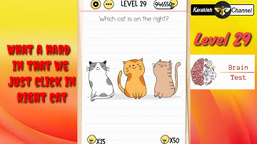 Brain test 🧠 - Level 29 - which cat is in the right?