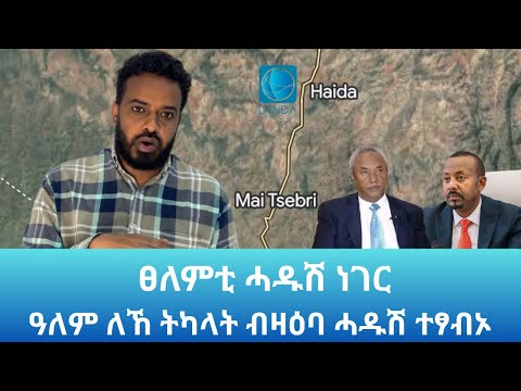 ፀለምቲ እንታይ ኣሎ? ዓለም ለኸ ትካላት ብዛዕባ ሓዱሸ ተፃብኦ እንታይ በሉ? Landa Report