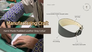 Manufacturing Craft-Hand Made Padded Leather Dog Collar