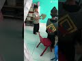 Drama Kolosal Djong Bersatu versi anak RA Fairuz Aqila Yogyakarta. Part 2