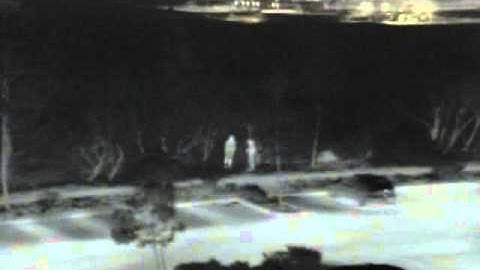 Low-Light - FLIR Thermals Detect Vehicles and Pedestrians at Night and in Low Light Conditions