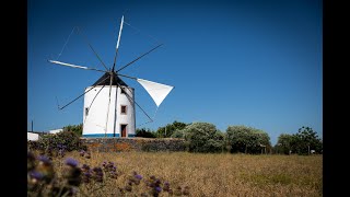 Terras sem Sombra - Beja - Património - “De Velas Desfraldadas na Planície: O Moinho Grande” 2022