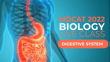 MDCAT 2022 Biology Live Class Digestive System Lecture-1 #mdcat