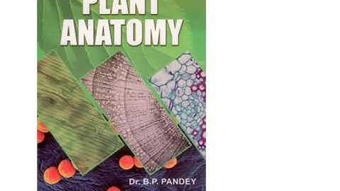 Reference books on plant anatomy, morphology and embryology.