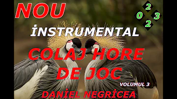 █▬█ █ ▀█▀-2023-COLAJ DE HORE -VOLUMUL 3--DANIEL NEGRICEA--DOMN PROFESOR DANCIU