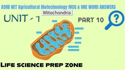 ASRB CSIR NET GATE BT DBT JRF AGRICULTURE BIOTECHNOLOGY   PART-10 MITOCHONDRIA