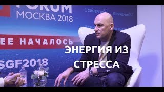 видео: Радислав Гандапас и Оскар Хартманн: плюсы и минусы стресса картинка: Радислав Гандапас и Оскар Хартманн: плюсы и минусы стресса