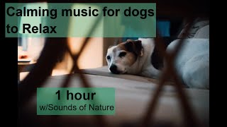 Calming MUSIC FOR DOGS TO RELAX fast - 1 hour - [w/soothing sounds of Nature]