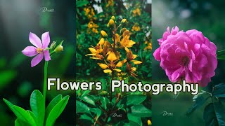 Flower Photography Ideas | Top 3 Natural photography ideas |Flower Photography #photography #viral