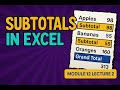 Subtotals in Excel Made Easy | Group &amp; Analyze Data | Module 12 Lecture 2 | Excel Zero to Hero