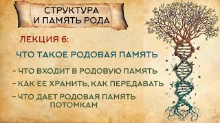 Что такое родовая память: как хранить, как передавать.Что дает человеку родовая память.