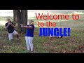 Welcome to the junglemikes 50th at freeland michigan