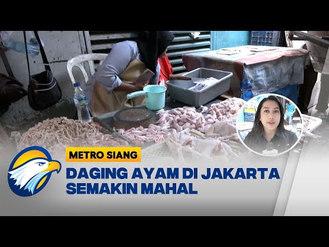 Harga Dada Ayam Fillet Di Pasar