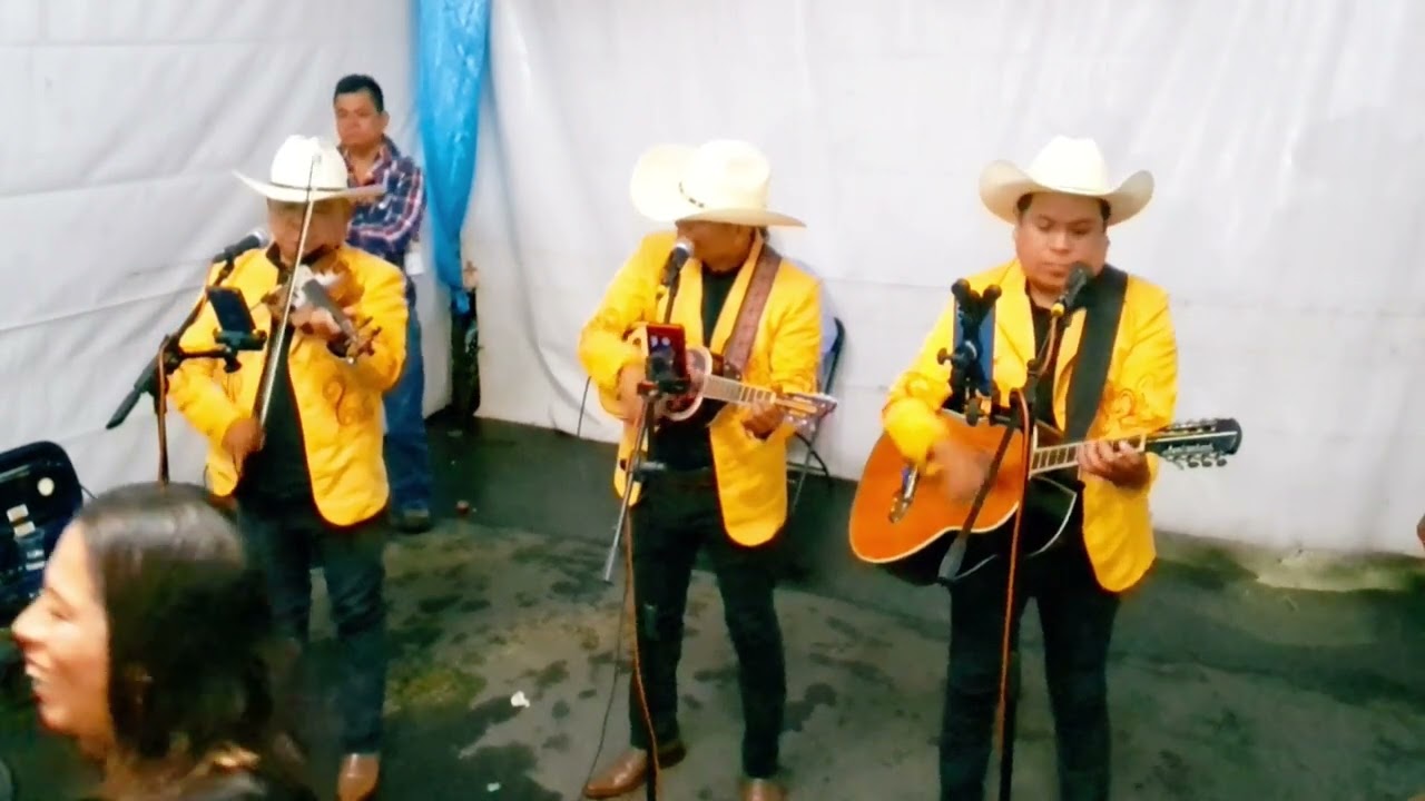 La media azucena (huapango)trio nueva imagen