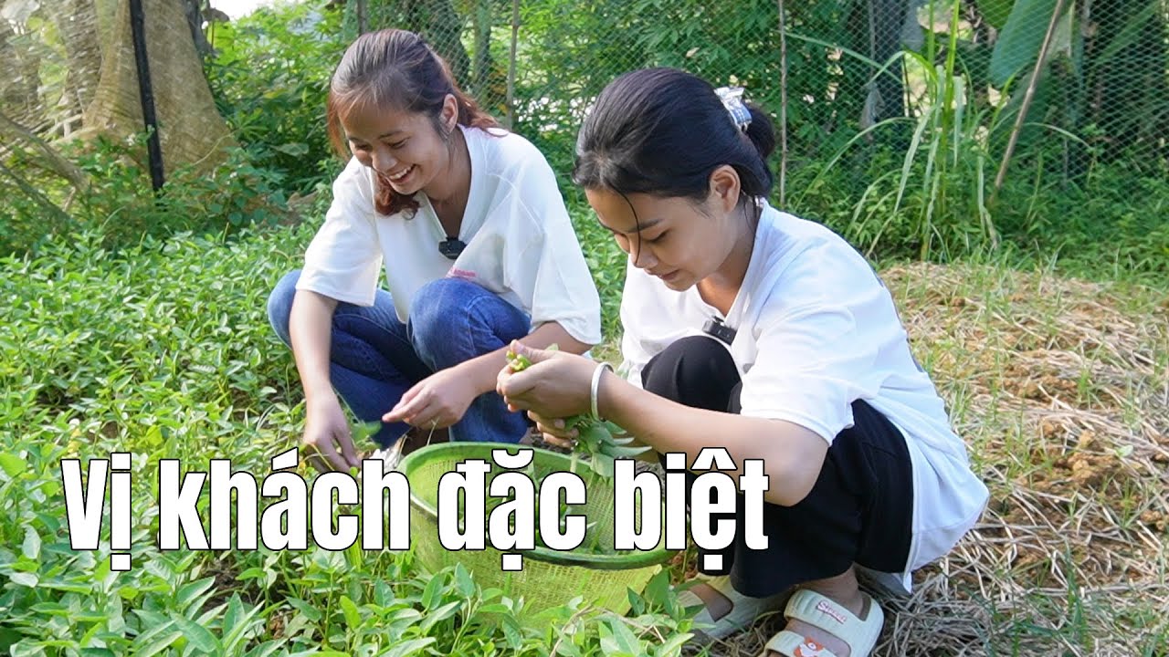 Bất Ngờ Vị Khách Đặc Biệt Ghé Thăm Cô Bé Mồ Côi Cha Mẹ - youtube