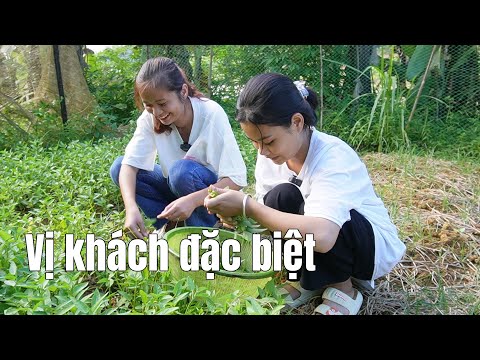 Video Bất Ngờ Vị Khách Đặc Biệt Ghé Thăm Cô Bé Mồ Côi Cha Mẹ - youtube