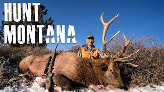 How To Hunt Montana (Deer & Elk) | APPLICATION SEASON screenshot 3