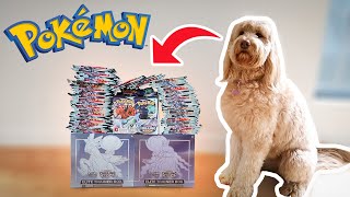 A PUPPY Opens *NEW* Pokémon Cards(CRAZY PULLS)