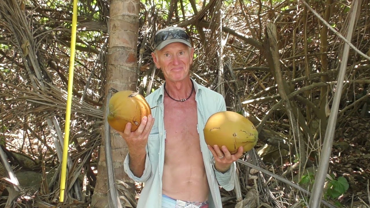 A Man Can’t Survive Without His Coconuts! (Sailing SV Sarean) Ep. 54