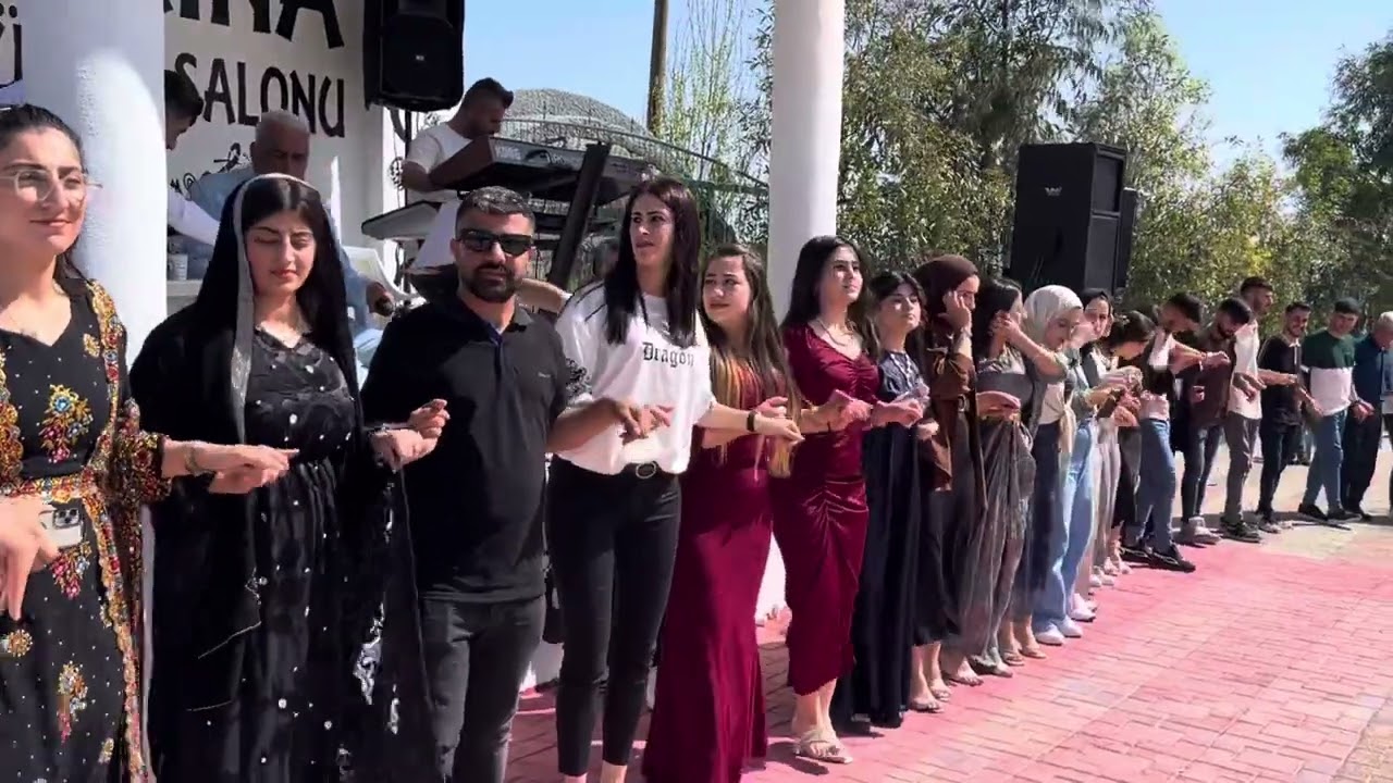 Haşım algur düğünü algur ailesi Grup welat silopi #welatsilopi