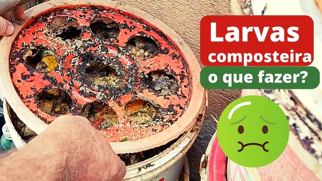 Compostagem domestica - Abrindo as composteiras | Dicas para evitar moscas e reutilizar o chorume
