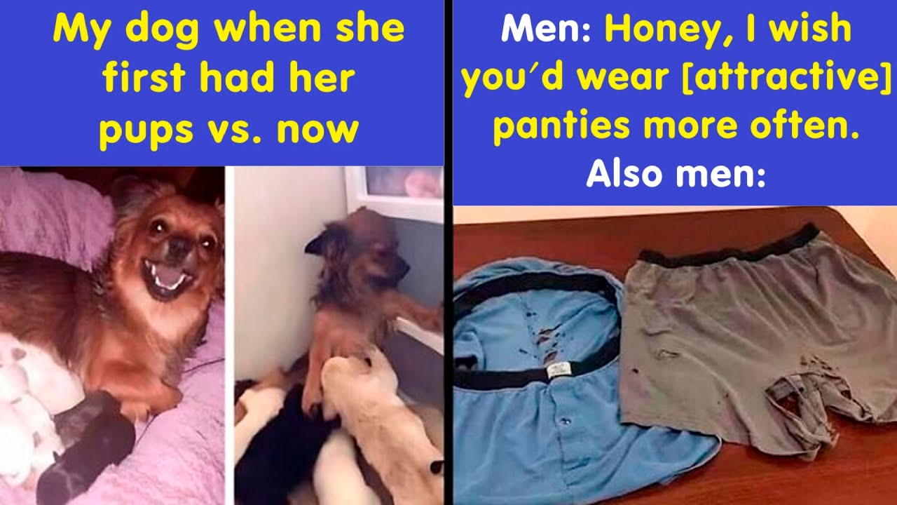 Funny Memes That You Might Want To Send To All Your Friends | Happy And Fun