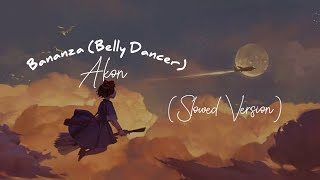 Akon - Bananza (Belly Dancer) (Lirik Terjemahan)| hey ladies drop it down (Slowed Tiktok Version) Resimi