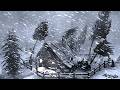 Northern Lights Over Arctic Skies – Aurora ASMR