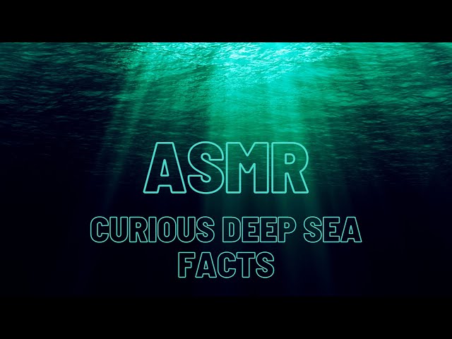 ASMR Interesting Facts about the Deep Sea | Up close Binaural Whispering with Ocean Ambiance