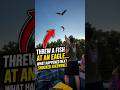 What happens if you throw a fish at a flying eagle? 🦅🐟