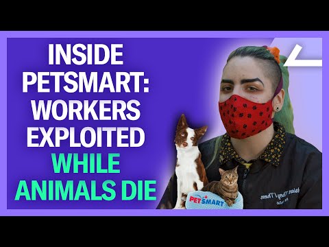 PetSmart Workers EXPOSE Horrendous Conditions