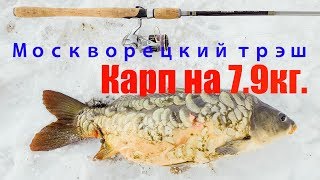 Москворецкий трэш. Карп на 7.9кг.