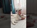 Human baby💥 #viral #funny #trending #pets #shorts