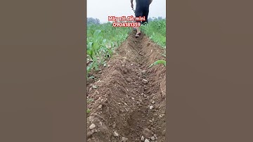 Máy xới đất mini đa năng #máynôngnghiệp #nongdan #mayxoidat #shorts