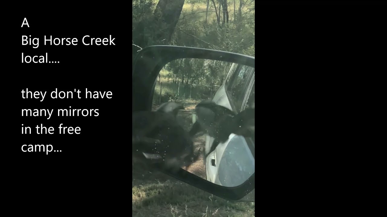 Edith Falls, Victoria River Valley, Big Horse Creek free camp - arriving in WA - 21/04/21