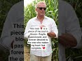 #kevincostner #yellowstone #hollywoodlegend #usashorts #actor