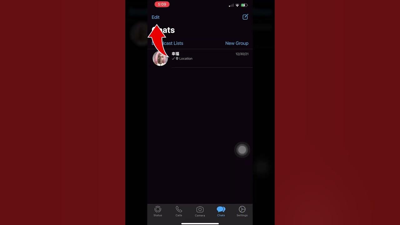 how-to-hide-a-chat-on-whatsapp-iphone-youtube