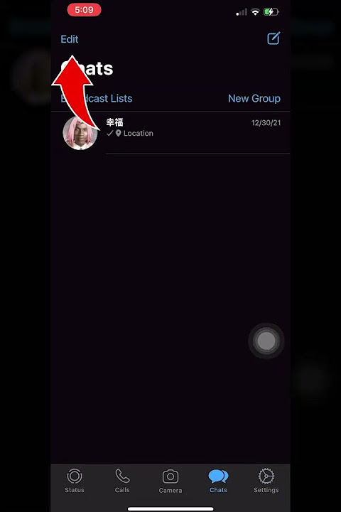 How To Hide A Chat On Whatsapp iPhone