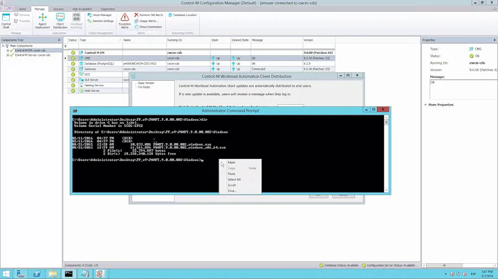 How to deploy a patch in Control-M/EM with Client Distribution Tool