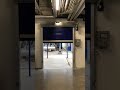 paw roll up industrial high speed pvc door