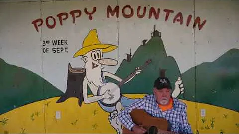 Corona Virus Blues - Marty Stevens