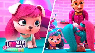 VIP PETS 🌈 Os melhores looks 😋 PENTEAR é OUSAR! ✨ EPISÓDIOS Completos 💕 DESENHO INFANTIL