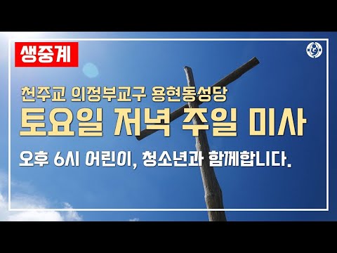 영상썸네일