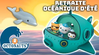 Octonauts - ☀️ Retraite océanique d'été 🏖️ | Dessins animés pour enfants