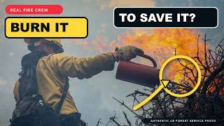 Why Firefighters Burn Forests on Purpose