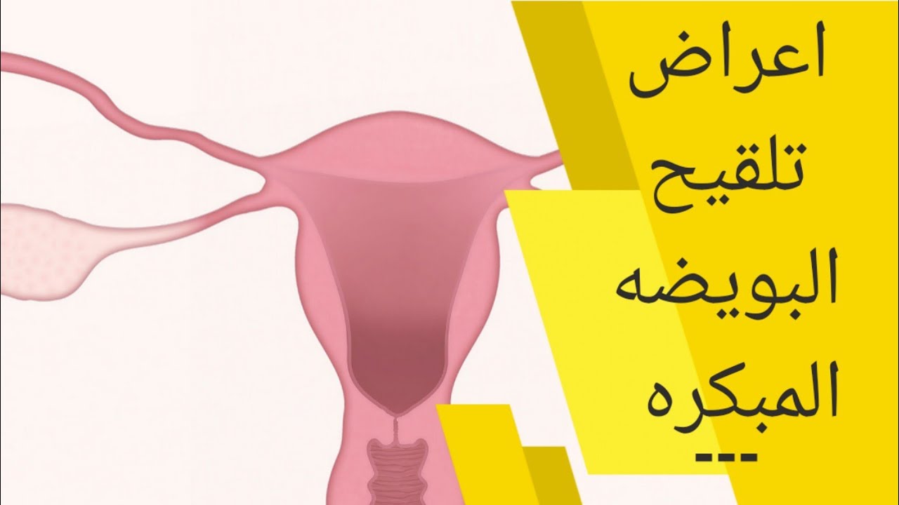 أعراض تلقيح البويضة في اليوم الأول علامات تلقيح البويضة وانغماس الجنين قبل نزول الدورة واختبار الحمل Youtube