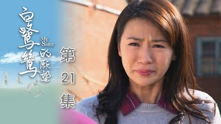 白鷺鷥的願望 EP21 My Sister｜三立台劇