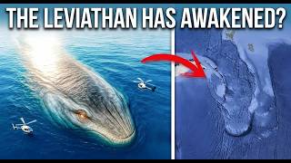 Leviathan! The terror of the deep sea has awakened again! || Mr.Timemare