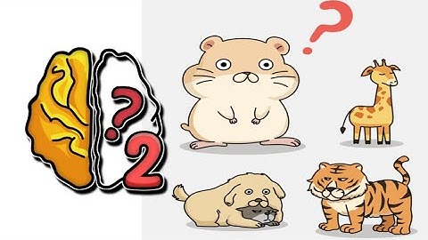 Brain Out 2 Level 1 |Find The Biggest Animal!| Walkthrough Solutions